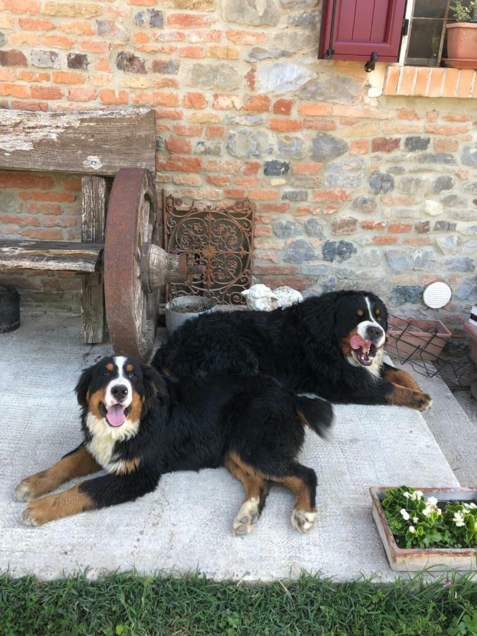 New Flowers Farm B&B Ночето Экстерьер фото